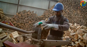 Programa para productores de leña seca otorgará más de $560 millones para adquirir maquinarias Programa para productores de leña seca otorgará más de $560 millones para adquirir maquinarias