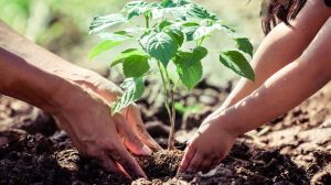 Chile y cinco países del continente se reúnen para enfrentar el calentamiento global en la Semana del Clima 2021