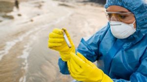 Los avances en materia de regulación y tratamiento de suelos contaminados en Chile Los avances en materia de regulación y tratamiento de suelos contaminados en Chile