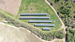 Viña Concha y Toro disminuye 19% sus emisiones de gases de efecto invernadero