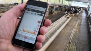 Sector lácteo busca mejorar la sustentabilidad en los campos mediante una aplicación web