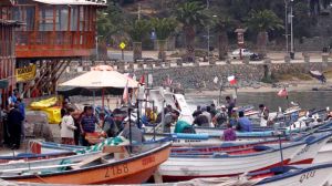 Crearán Sello de Caletas Sustentables” incorporando a la pesca artesanal en la producción limpia