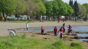 Voluntarios extraen microplásticos y basura de la cuenca del Lago Llanquihue Voluntarios extraen microplásticos y basura de la cuenca del Lago Llanquihue