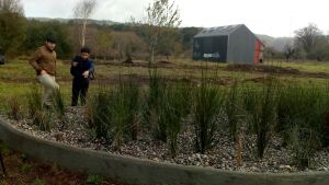 Universidad Austral de Chile liderará proyecto de reutilización de agua a través de humedales depuradores