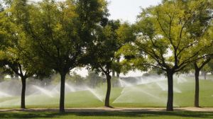 Cristina Girardi pide al ministro de Obras Públicas poner urgencia a proyecto para el cuidado del agua