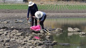 La falta de acceso al agua potable profundiza la desigualdad de género en América Latina La falta de acceso al agua potable profundiza la desigualdad de género en América Latina