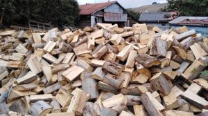 Fiscalizan emisiones en Osorno y alertan por alza en precio de leña certificada