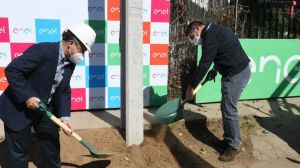Instalan los primeros postes reciclados en el país gracias a inédito proyecto de economía circular Instalan los primeros postes reciclados en el país gracias a inédito proyecto de economía circular