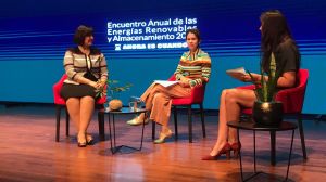 Ministra Maisa Rojas anuncia que el impuesto verde será reformado como parte de la reforma tributaria Ministra Maisa Rojas anuncia que el impuesto verde será reformado como parte de la reforma tributaria
