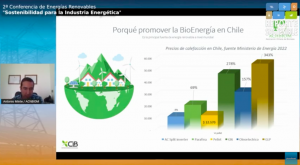 ACHBIOM: “No hay una energía renovable más importante que otra” ACHBIOM: “No hay una energía renovable más importante que otra”