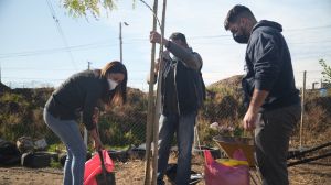 Vecinos de Bajos Mena recibirán 200 árboles para transformar un terreno abandonado en un parque Vecinos de Bajos Mena recibirán 200 árboles para transformar un terreno abandonado en un parque