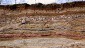 La “hazaña” que se debe realizar para la conservación del suelo en zonas urbanas La “hazaña” que se debe realizar para la conservación del suelo en zonas urbanas