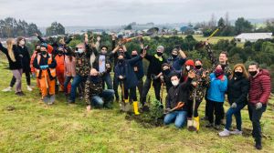 Desplegarán estrategia de compensación ambiental en Isla Grande de Chiloé Desplegarán estrategia de compensación ambiental en Isla Grande de Chiloé