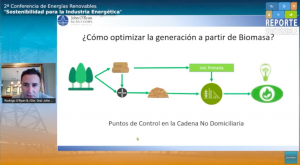 “La bioeconomía de la biomasa podría sustituir plásticos, construir carreteras a partir de biobitumen y una matriz energética”
