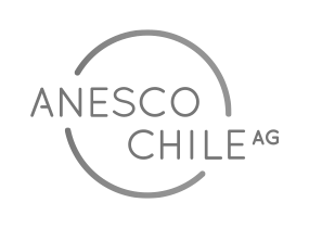 ANESCO-logo.png