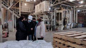 Seremi de Economía de Magallanes: Pellet puede satisfacer las necesidades térmicas donde no hay red de gas natural Seremi de Economía de Magallanes: Pellet puede satisfacer las necesidades térmicas donde no hay red de gas natural