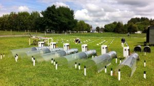 Carbono neutralidad en el sur de Chile: investigación identificó predios agrícolas y ganaderos que capturan sus gases EI Carbono neutralidad en el sur de Chile: investigación identificó predios agrícolas y ganaderos que capturan sus gases EI