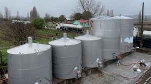 Producción vitivinícola del Valle de Itata apuesta por la sustentabilidad para ser más competitiva Producción vitivinícola del Valle de Itata apuesta por la sustentabilidad para ser más competitiva