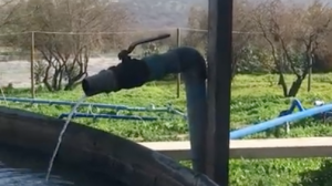 Recuperan aguas grasas y de residuos industriales líquidos para reutilizarlas en el riego Recuperan aguas grasas y de residuos industriales líquidos para reutilizarlas en el riego