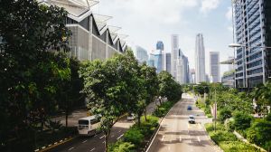 Experta explica cómo el desarrollo de Ciudades Sostenibles ayuda a disminuir el impacto ambiental Experta explica cómo el desarrollo de Ciudades Sostenibles ayuda a disminuir el impacto ambiental