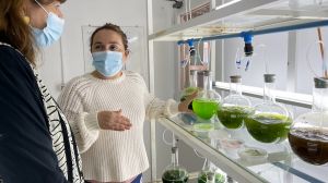 Uso de microalgas permitirá la primera plantación de arándanos en el desierto de Chile Uso de microalgas permitirá la primera plantación de arándanos en el desierto de Chile