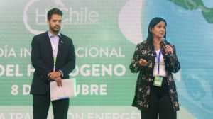 Hans Kulenkampff, presidente de H2 Chile, advierte que otros países también están desplegando esfuerzos por habilitar la producción de Hidrógeno Verde
