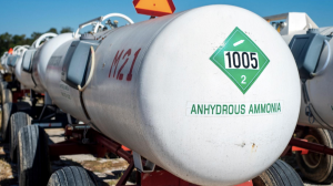 Estudio aborda las oportunidades para Chile para producir amoníaco verde