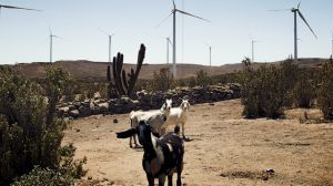 Por su liderazgo en sustentabilidad, Enel Chile recibe el reconocimiento más importante de Hispanoamérica