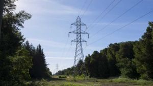 Grupo Saesa concreta compra de Enel Transmisión en Chile Grupo Saesa concreta compra de Enel Transmisión en Chile