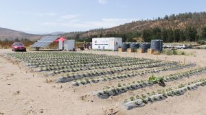 Iniciativa para combatir la sequía: investigadores chilenos desarrollan desaladora móvil para regar cultivos con agua de mar Iniciativa para combatir la sequía: investigadores chilenos desarrollan desaladora móvil para regar cultivos con agua de mar