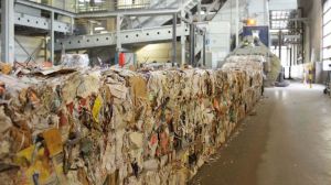 Sector de Envases y Embalajes en Chile logra reciclar 67 mil toneladas en sus productos tras Acuerdo de Producción Limpia Sector de Envases y Embalajes en Chile logra reciclar 67 mil toneladas en sus productos tras Acuerdo de Producción Limpia