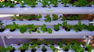 Agricultura Sostenible en el Salar de Atacama: horticultores de la región conocen nuevas prácticas para mejorar sus actividades Agricultura Sostenible en el Salar de Atacama: horticultores de la región conocen nuevas prácticas para mejorar sus actividades