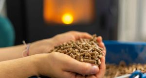 ¿Cómo se viene el invierno para los usuarios de calefacción a pellet en Chile? ¿Cómo se viene el invierno para los usuarios de calefacción a pellet en Chile?