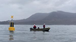 Fauna marina es protegida y monitoreada en Coquimbo mediante sistema de “Boyas Acústicas” Fauna marina es protegida y monitoreada en Coquimbo mediante sistema de “Boyas Acústicas”