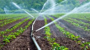 Disponibilidad y calidad del agua pone en riesgo la seguridad alimentaria, la salud pública y el desarrollo económico Disponibilidad y calidad del agua pone en riesgo la seguridad alimentaria, la salud pública y el desarrollo económico