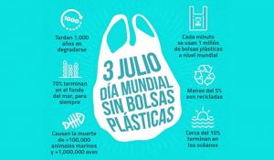 En Chile, a pesar de tener una ley que las prohíbe, aún se siguen usando bolsas plásticas en el comercio En Chile, a pesar de tener una ley que las prohíbe, aún se siguen usando bolsas plásticas en el comercio
