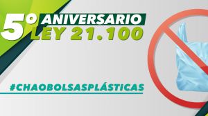 5 años ¿sin bolsas plásticas?