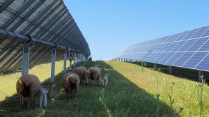 Alianza entre Korkia y Ciudad Luz dará paso al desarrollo de nuevos proyectos eólicos, solares y de almacenamiento en Chile