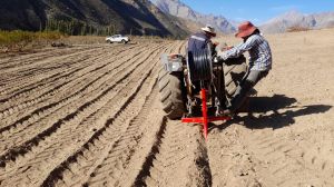 Escasez hídrica que afecta a la agricultura en Chile tiene una opción con tecnología de riego subterránea Escasez hídrica que afecta a la agricultura en Chile tiene una opción con tecnología de riego subterránea