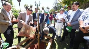 Proyecto de arborización urbana más grande de Latinoamérica cumplió en Chile el 100% de su meta Proyecto de arborización urbana más grande de Latinoamérica cumplió en Chile el 100% de su meta