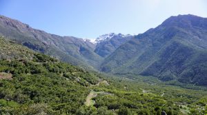 Más de 750 hectáreas de ecosistema de Valparaíso serán protegidas a perpetuidad por empresa de energías renovables y ONG Más de 750 hectáreas de ecosistema de Valparaíso serán protegidas a perpetuidad por empresa de energías renovables y ONG