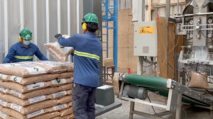 Autoridad afirma que el abastecimiento de pellet está garantizado para este invierno en la Región del Biobío Autoridad afirma que el abastecimiento de pellet está garantizado para este invierno en la Región del Biobío