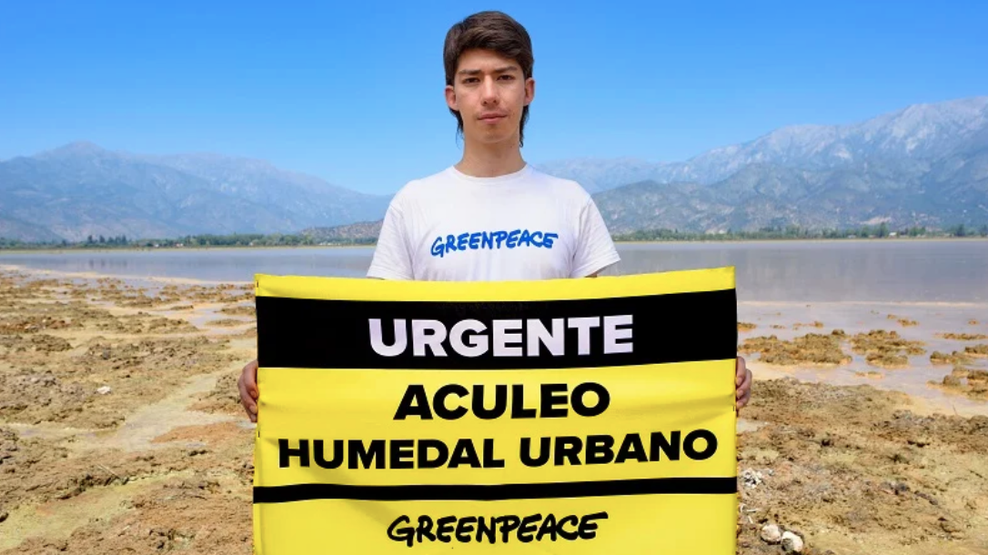 Greenpeace y reunión con Maisa Rojas: “Avanza la posibilidad de declarar humedal urbano a la Laguna de Aculeo”