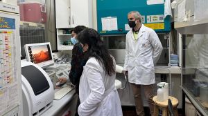 La ciencia y la innovación estarán al servicio del desarrollo sostenible gracias a investigadores chilenos La ciencia y la innovación estarán al servicio del desarrollo sostenible gracias a investigadores chilenos