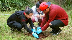 Día de la Tierra 2024: cambiar el paradigma para mitigar los impactos