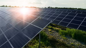 Proyecto Leones Solar combinará energía solar fotovoltaica y almacenamiento con modelo “detrás del medidor” Proyecto Leones Solar combinará energía solar fotovoltaica y almacenamiento con modelo “detrás del medidor”