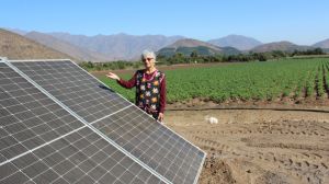 Energía fotovoltaica y riego presurizado transforman el agro Energía fotovoltaica y riego presurizado transforman el agro