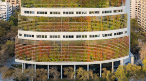 Edificio Consorcio conmemora 30 años con renovada fachada de vegetación de bajo consumo hídrico Edificio Consorcio conmemora 30 años con renovada fachada de vegetación de bajo consumo hídrico