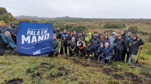 Festival Pala en Mano plantará 10 mil árboles en Ancud para combatir la deforestación insular Festival Pala en Mano plantará 10 mil árboles en Ancud para combatir la deforestación insular