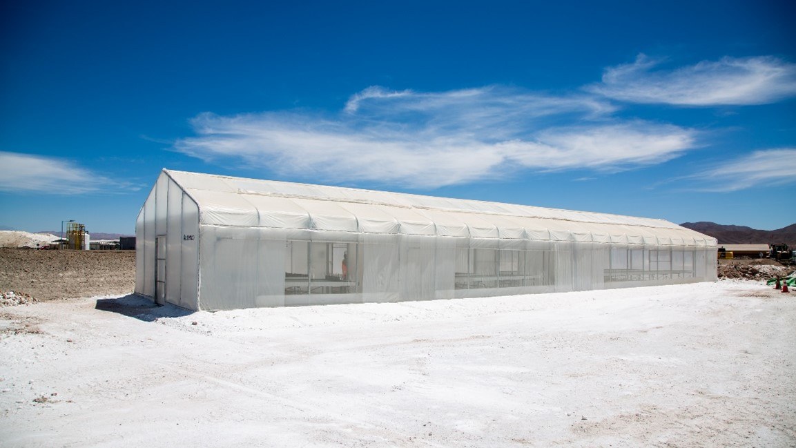 Aportan conocimiento a la sostenibilidad en salares de alta sensibilidad ecológica y social